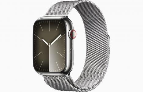 Apple Watch Series 9 41 мм Stainless Steel, silver